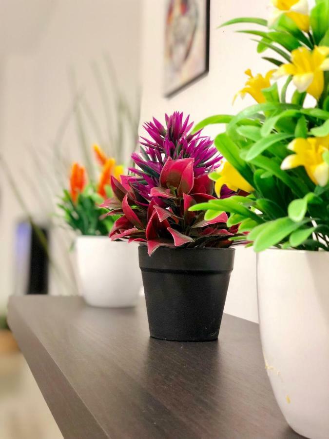 예루살렘 Gorgeous Boutique Apt!! //Prime Market Location!! 아파트 외부 사진